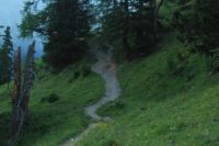 2015-07-01_2Drijaggenalm (263).JPG